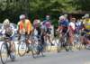 dsc_0156_small.jpg